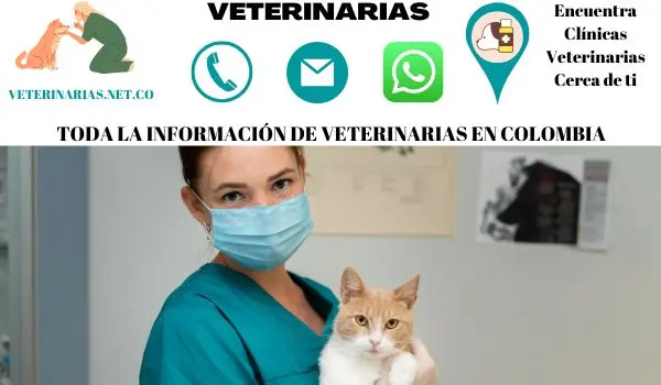 Clínicas Veterinarias en Colombia